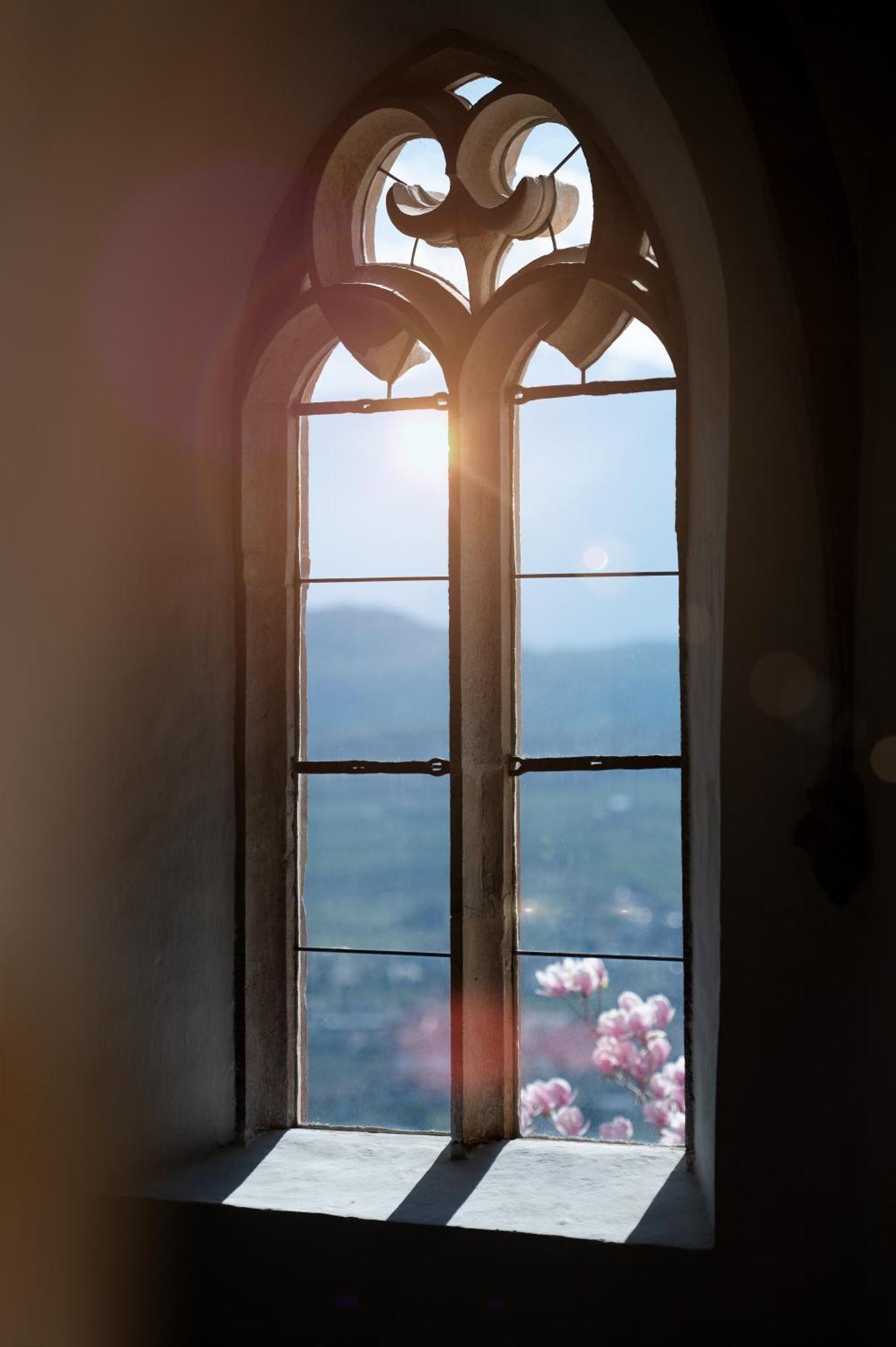 אפיאנו סולה סטרדה דל וינו Schloss Freudenstein מראה חיצוני תמונה